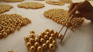 la culture de perles aux Philippines