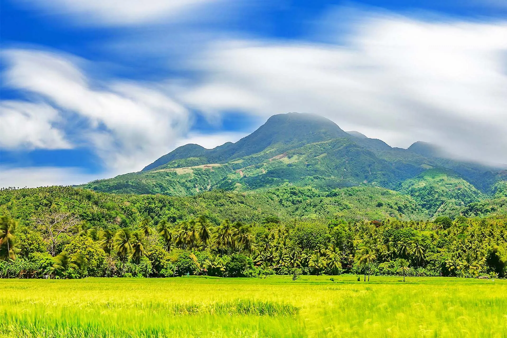Sur la route des volcans